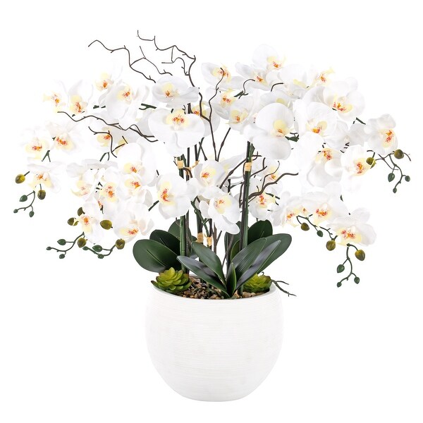 9 Stems Nearly Natural White Phalaenopsis Orchids with Succulents in White Magnesium Oxide Pot