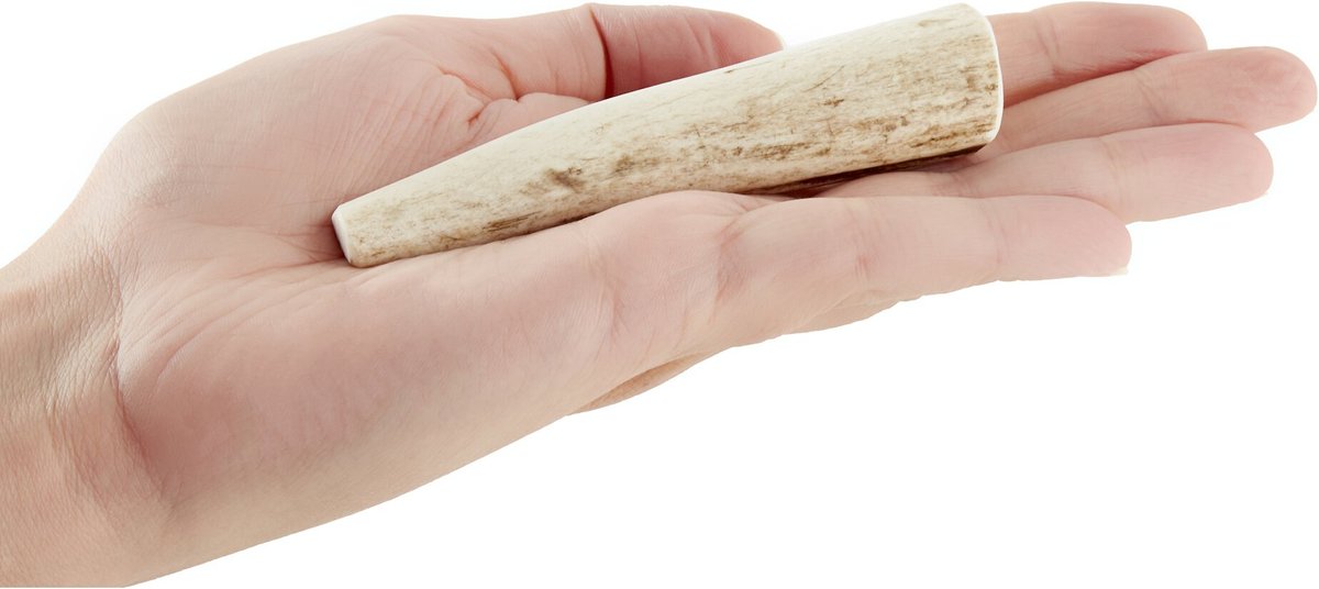 KONG Wild Whole Elk Antler Dog Chew