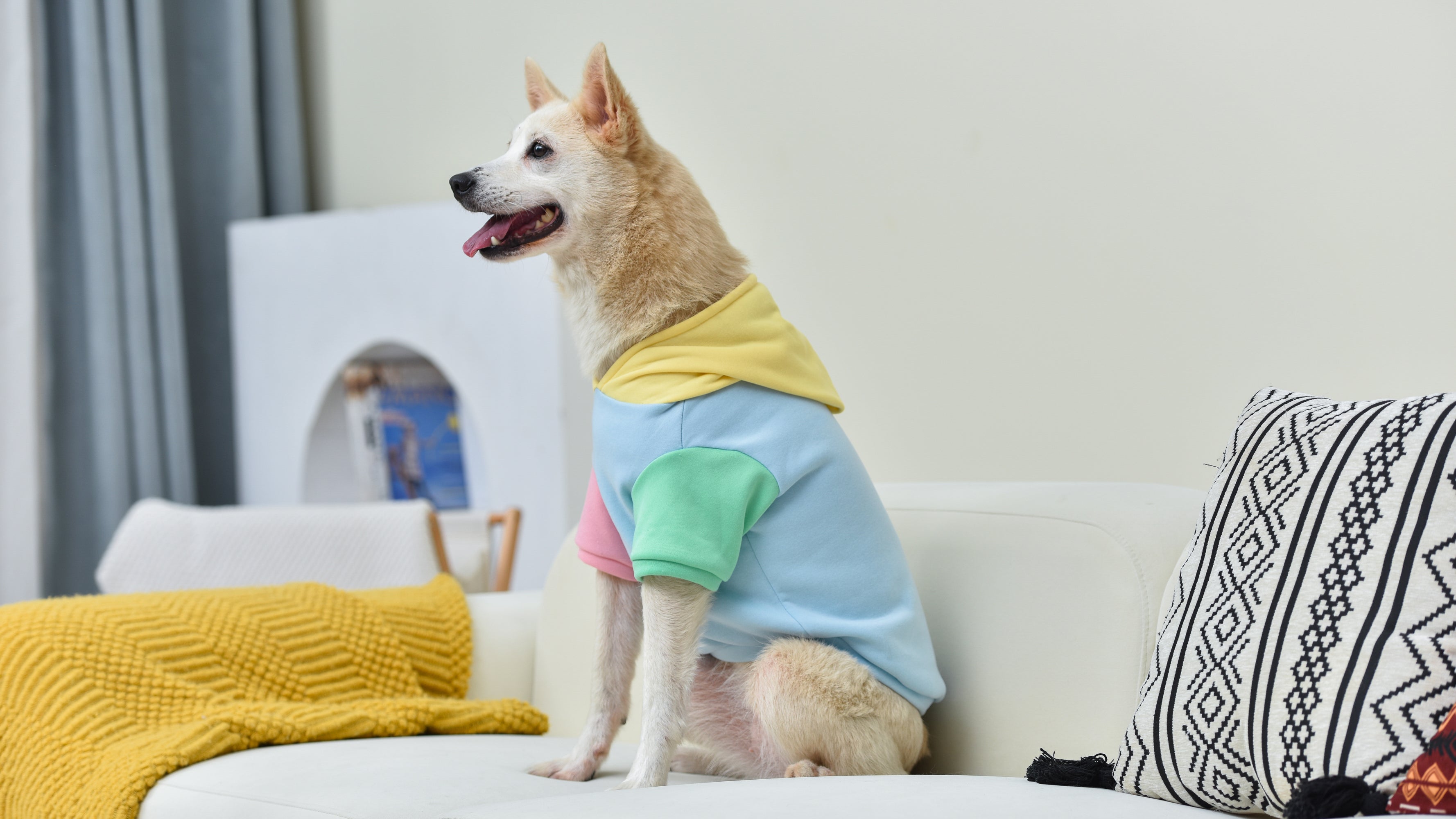 The Dodo Pastel Colorblock Dog Hoodie - Medium