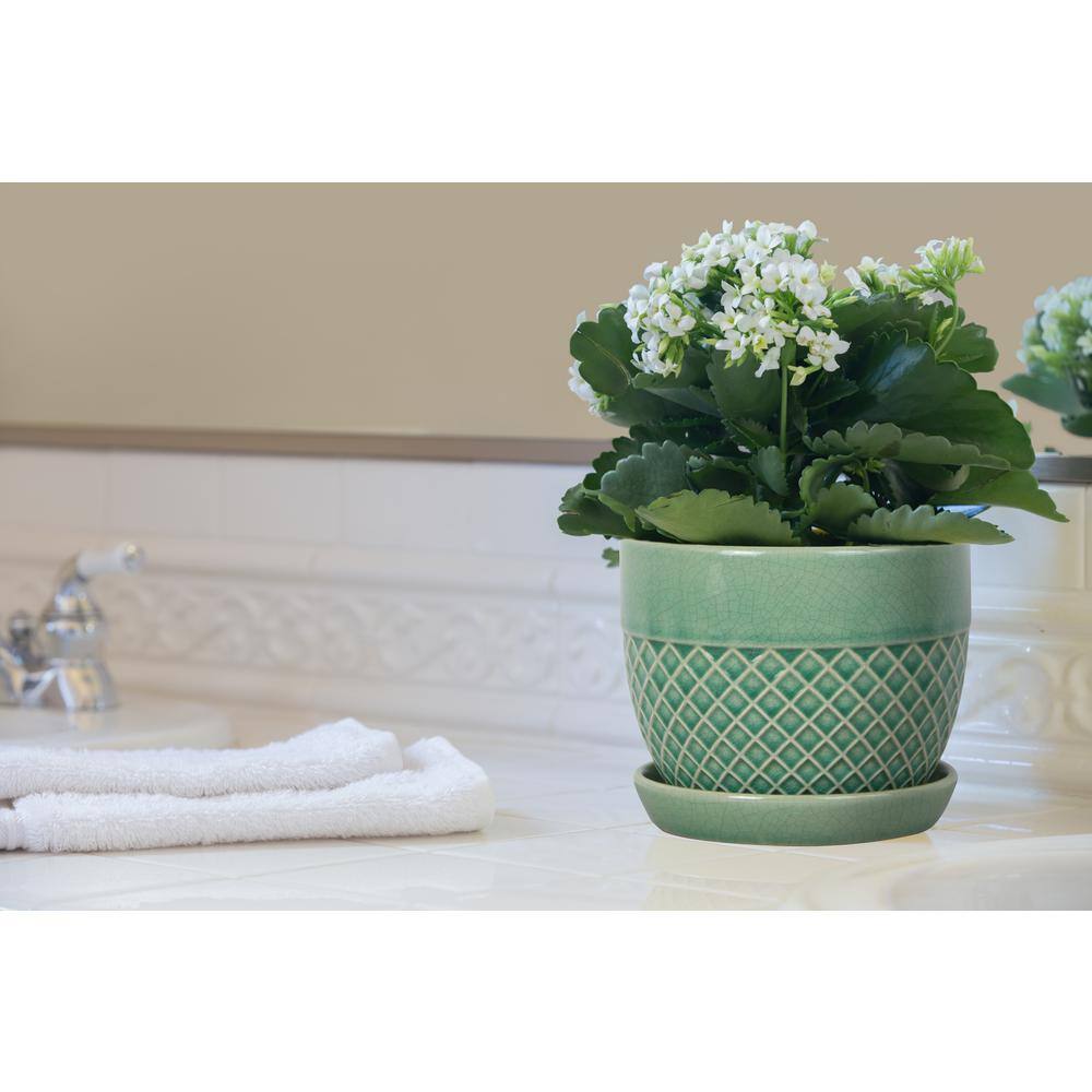 Trendspot 6 in. Mint Acorn Ceramic Planter CR10732S-060G