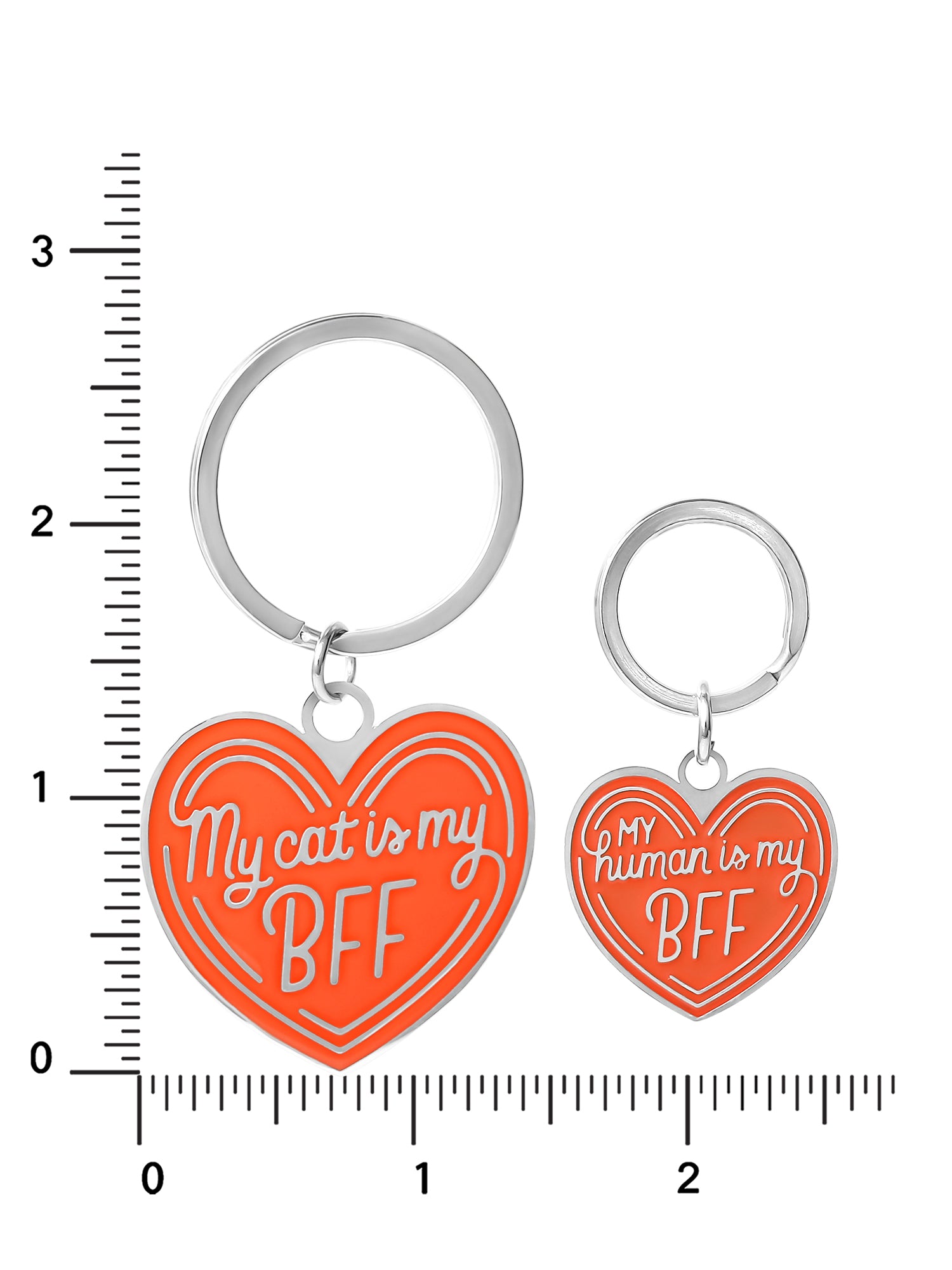 Connections from Hallmark Stainless Steel Cat BFF Tag and Keychain Set