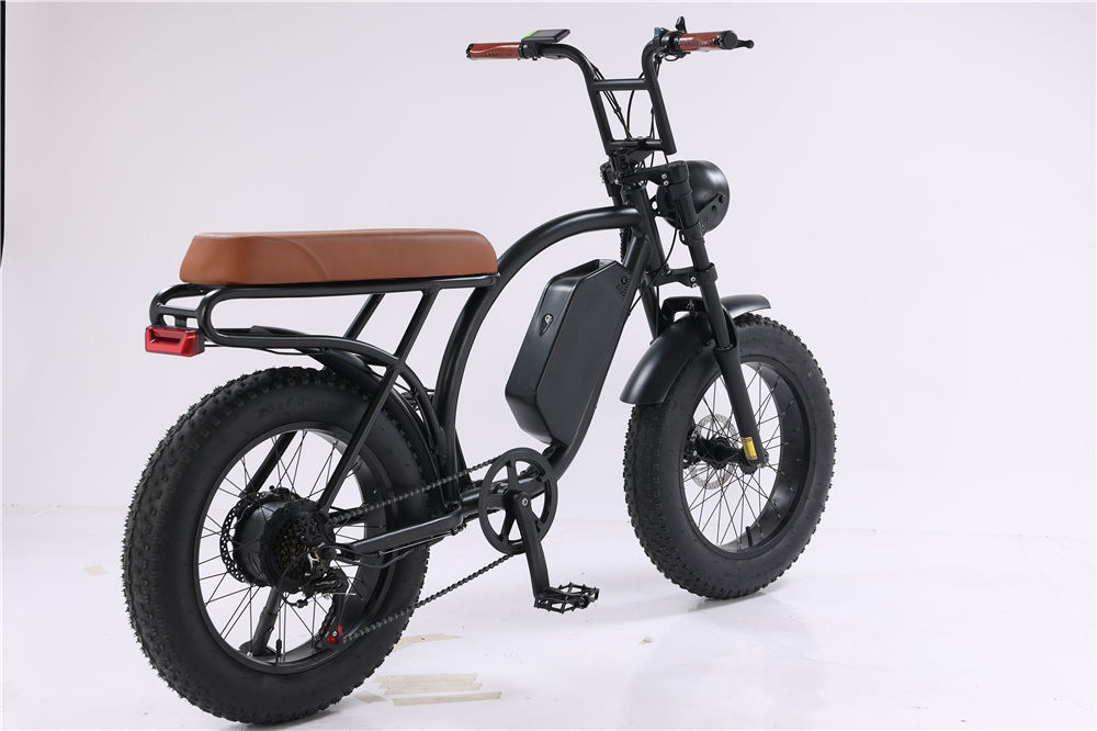 New Hot  Dual Lithium Battery Electric Mountain Bike Bicycle