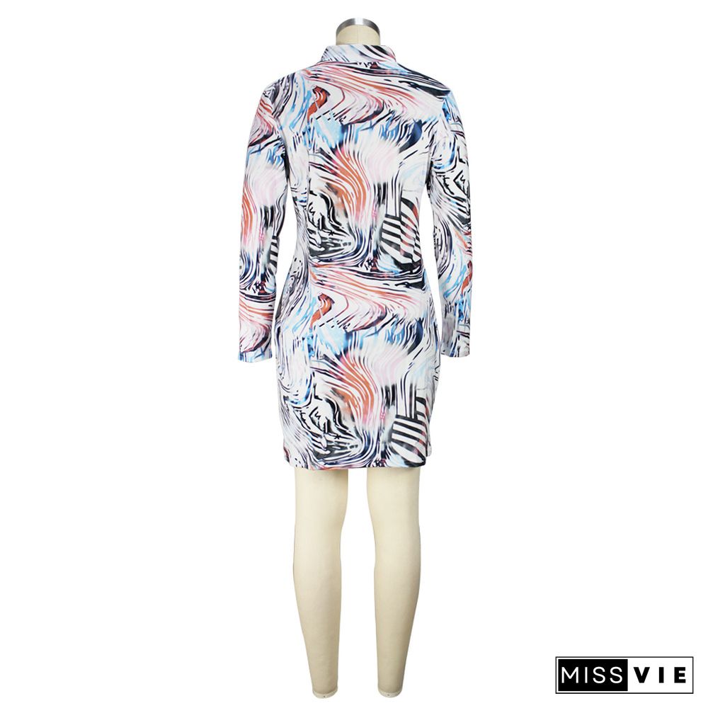 Abstract print Long Sleeve O Neck Pencil Dress