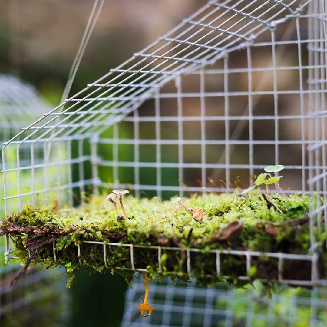 Fencer Wire Hardware Cloth, 19 Gauge with Mesh Size 1/2”, Hot-Dip Galvanized After Welding, Heavy Duty Welding Fencing for Cage Wire, Screen Doors, Tree Guards & Gutter Covers, Size Options Available