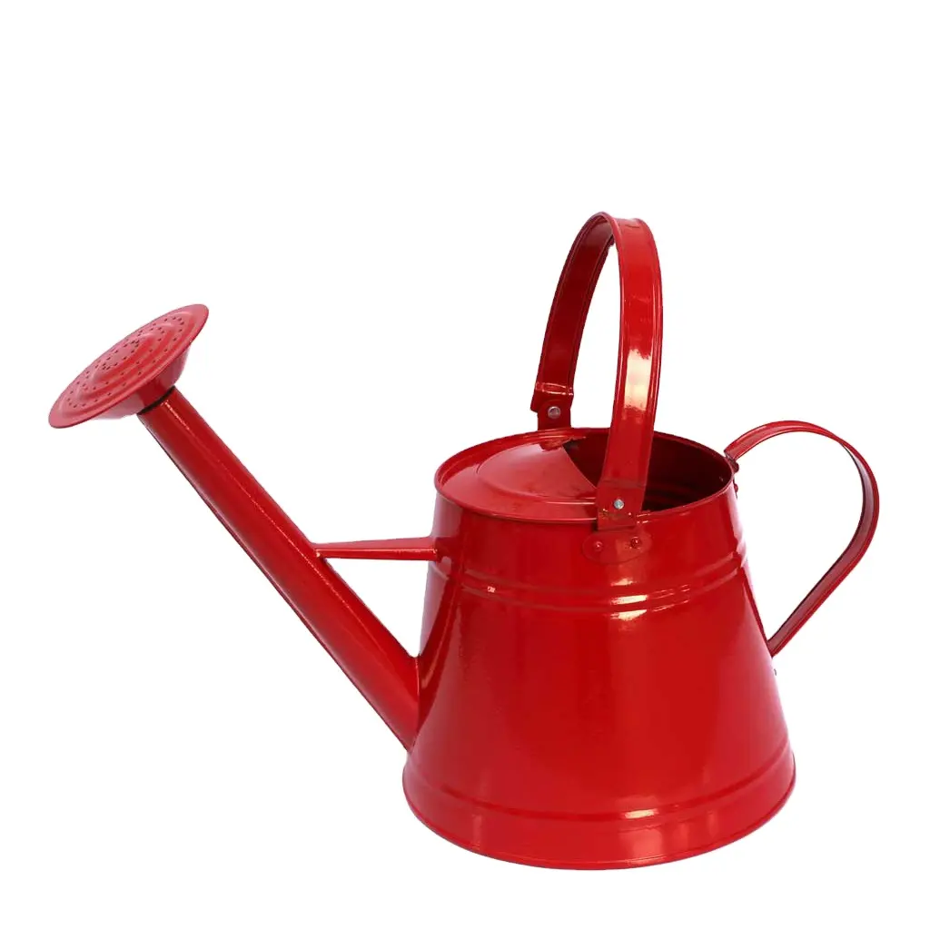 Wholesale Garden portable Plant multi color metal watering cans Watering Can