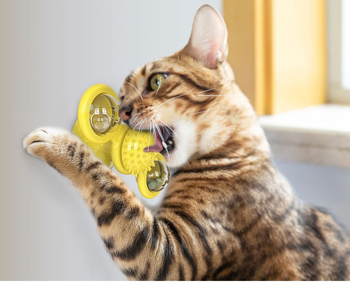 Pet Life 'Windmill' Rotating Suction Cup Spinning Cat Toy