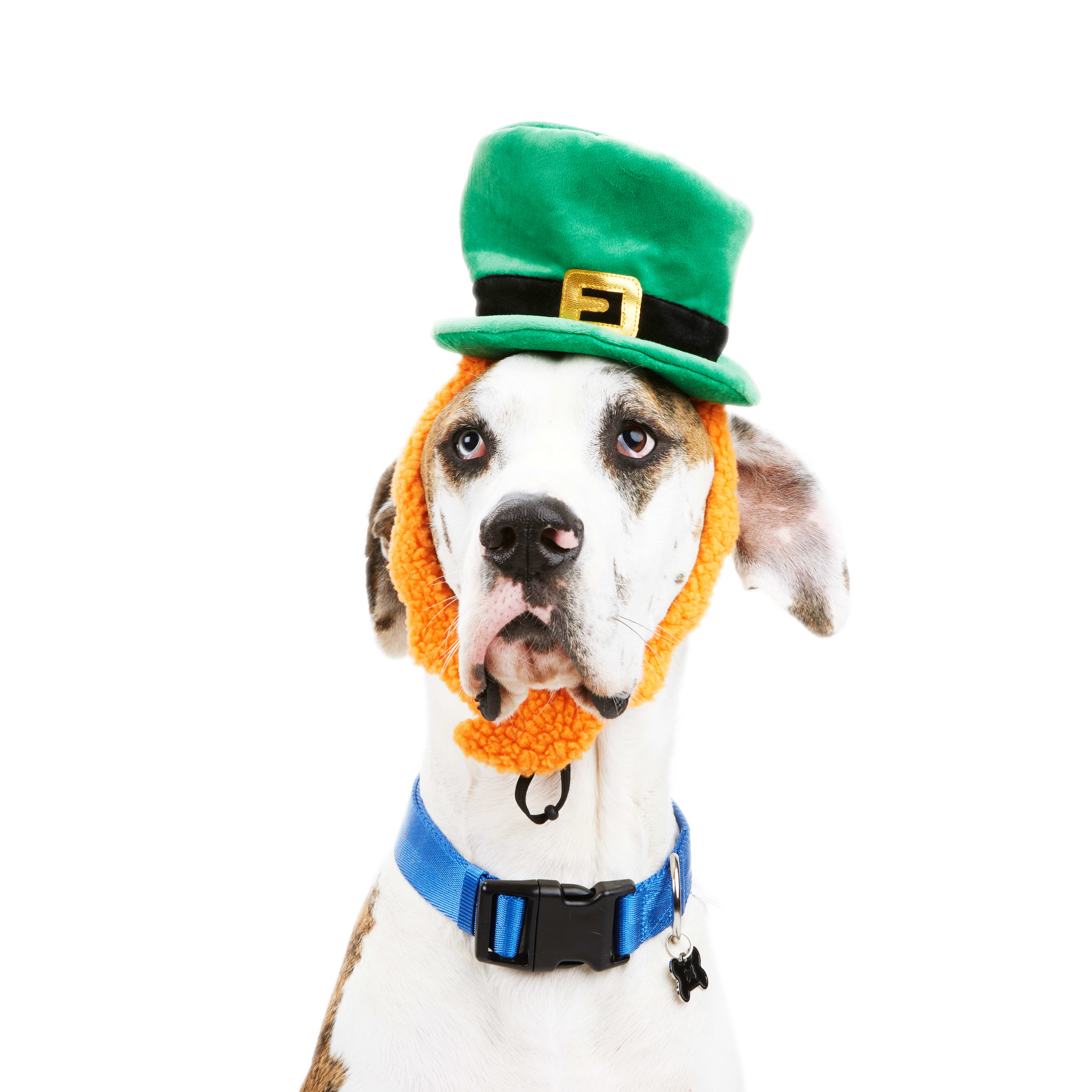 YOULY St. Pats Leprechaun Dog Headpiece， Small/Medium