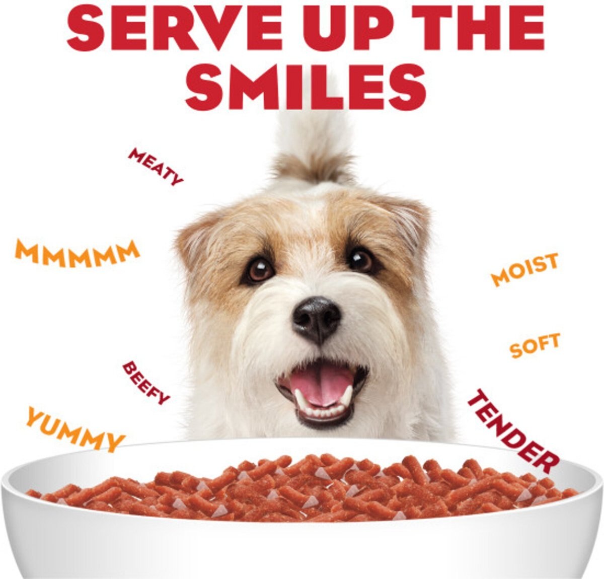 Moist and Meaty Steak Flavor Dry Dog Food