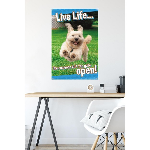 Trends International Avanti Dog Joy Unframed Wall Poster Prints