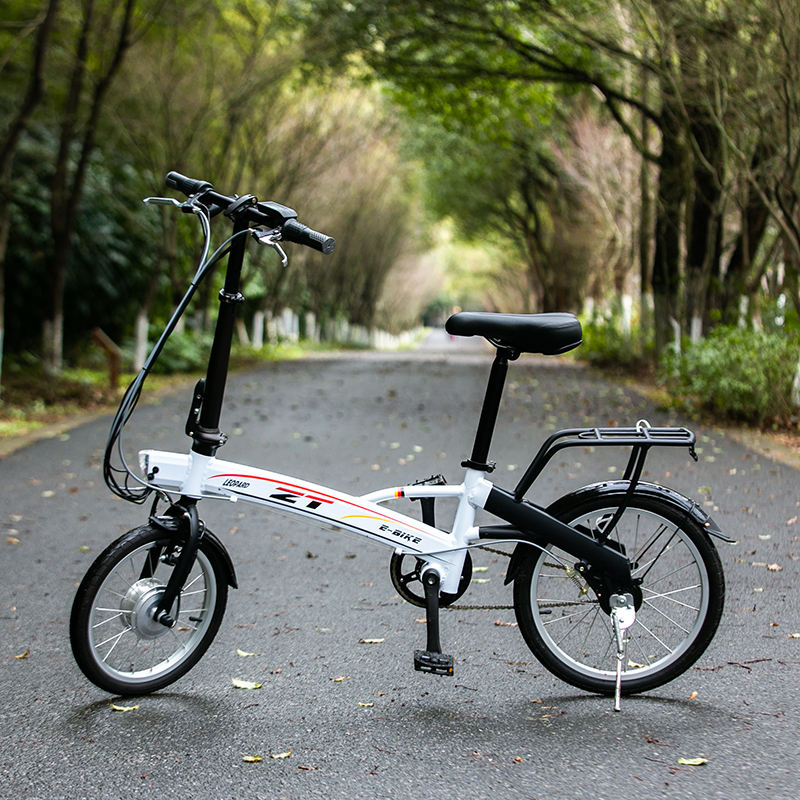 Paige Electric folding bike e e cargo family bicycle 2 wheel for adult dirt e bike 250w 24v lithium battery e bicycle ebike