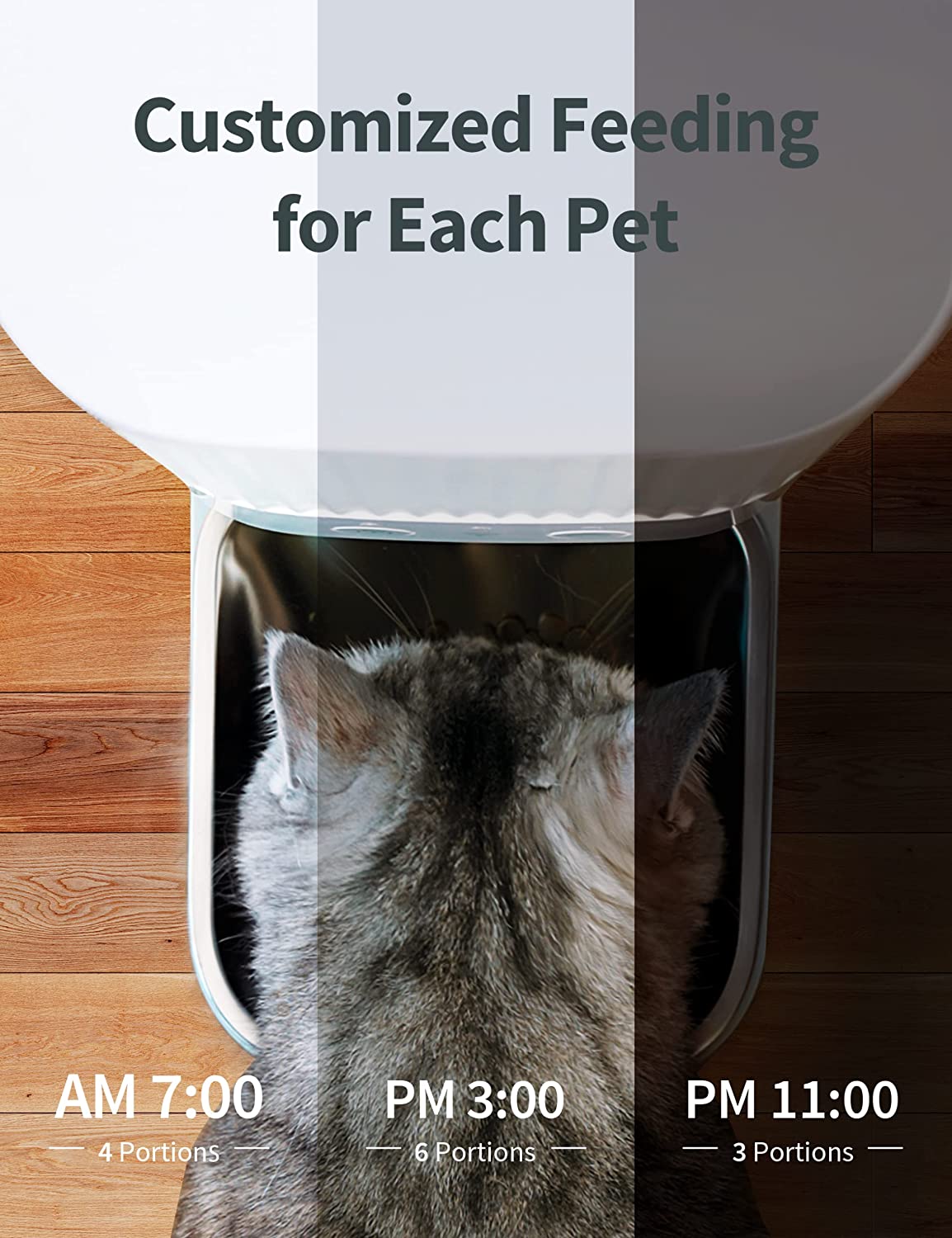 Kalado Smart WIFI Automatic Cat Feeder /Pet Feeder with 3.8L Dry Food Dispenser， Stainless Steel Food Bowl， Clog-Free and Dual Power Source in Pure