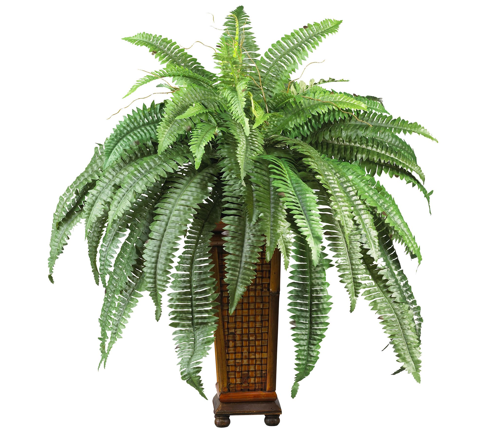 Boston Fern in Wood Vase Silk Plant by Nearly Natural