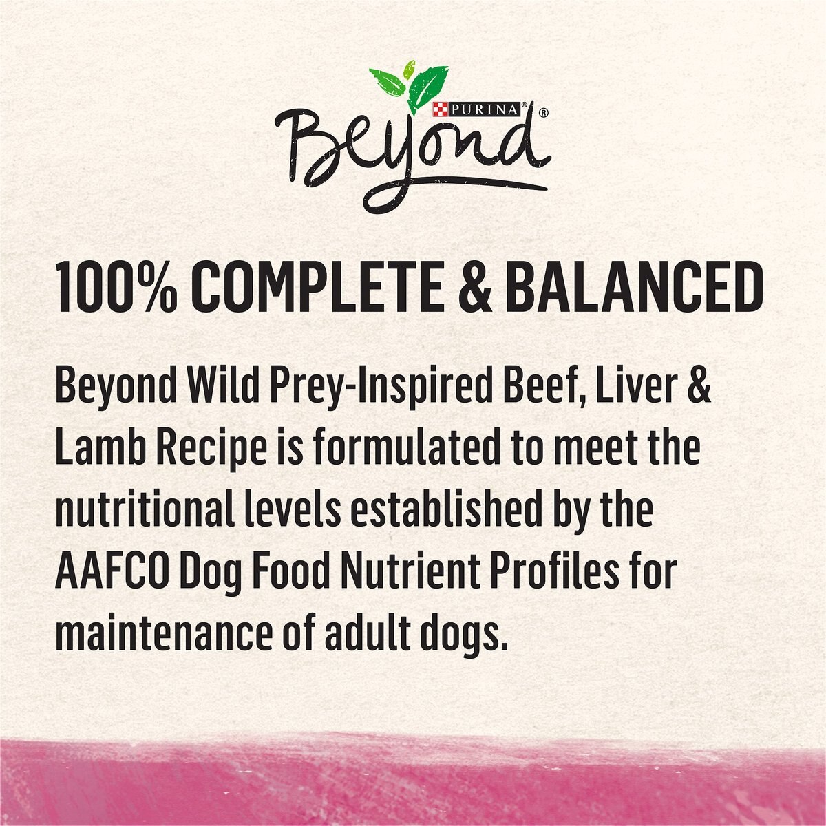 Purina Beyond Wild Prey-Inspired Beef， Liver and Lamb Recipe Canned Dog Food