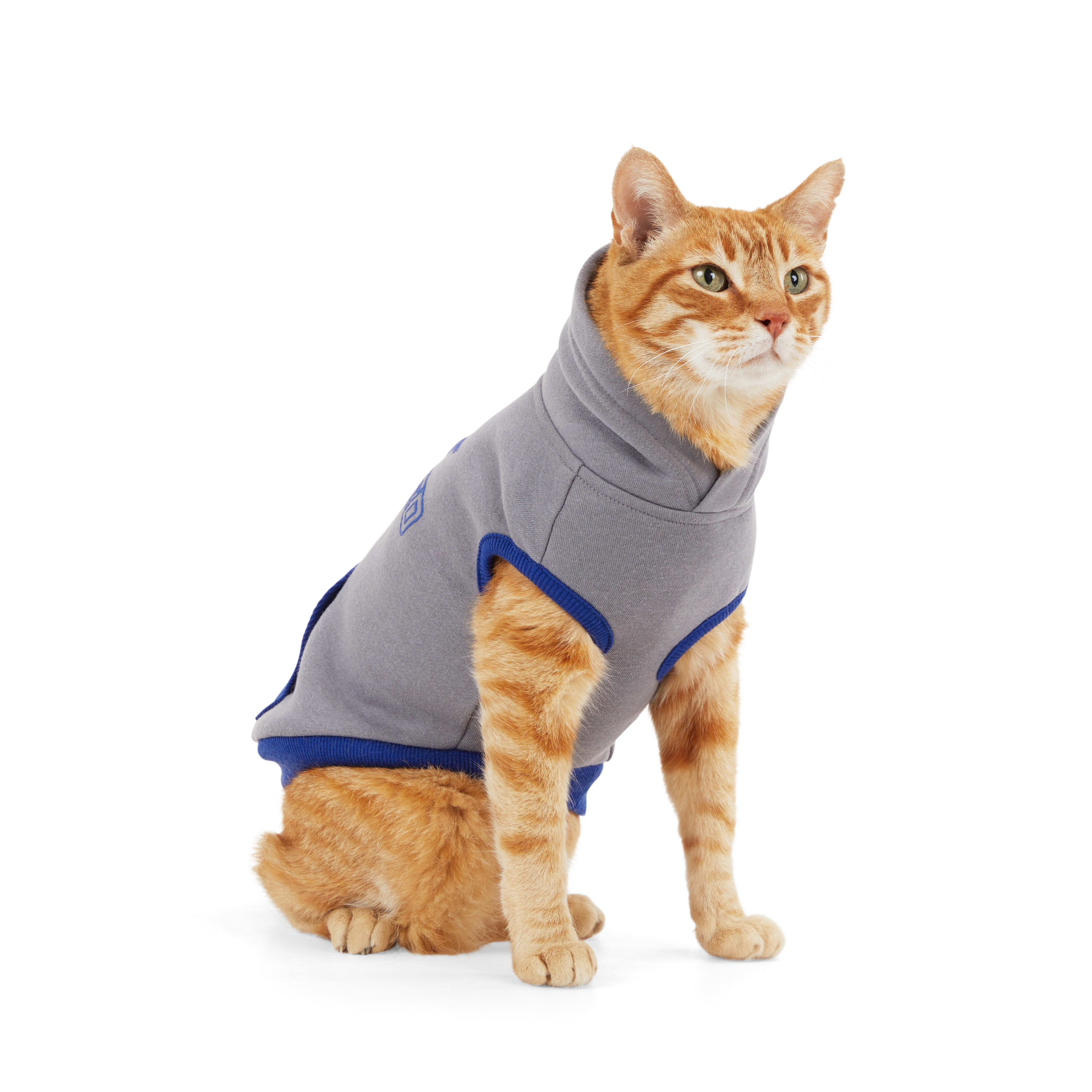 YOULY Grey Cat Hoodie， X-Small/Small