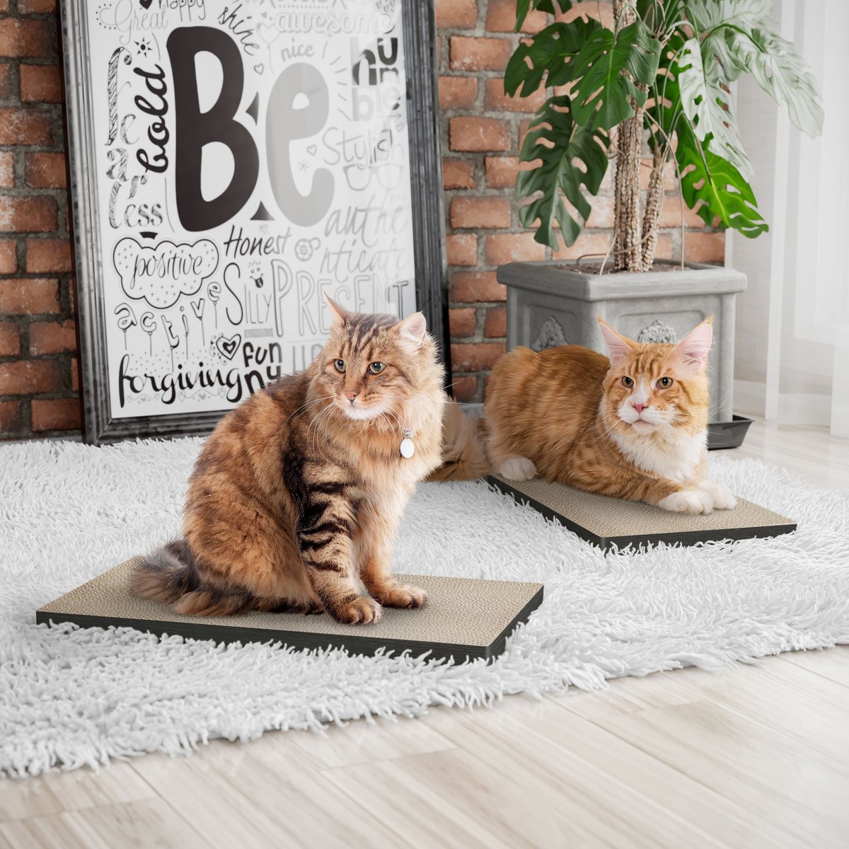 Way Basics Eco zBoard Premium Cat Scratcher， 2 count