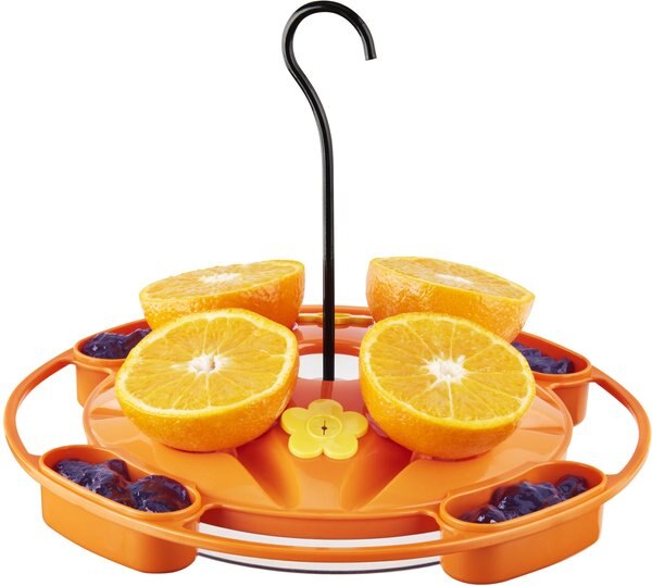 North States Hanging Tray Oriole Bird Feeder