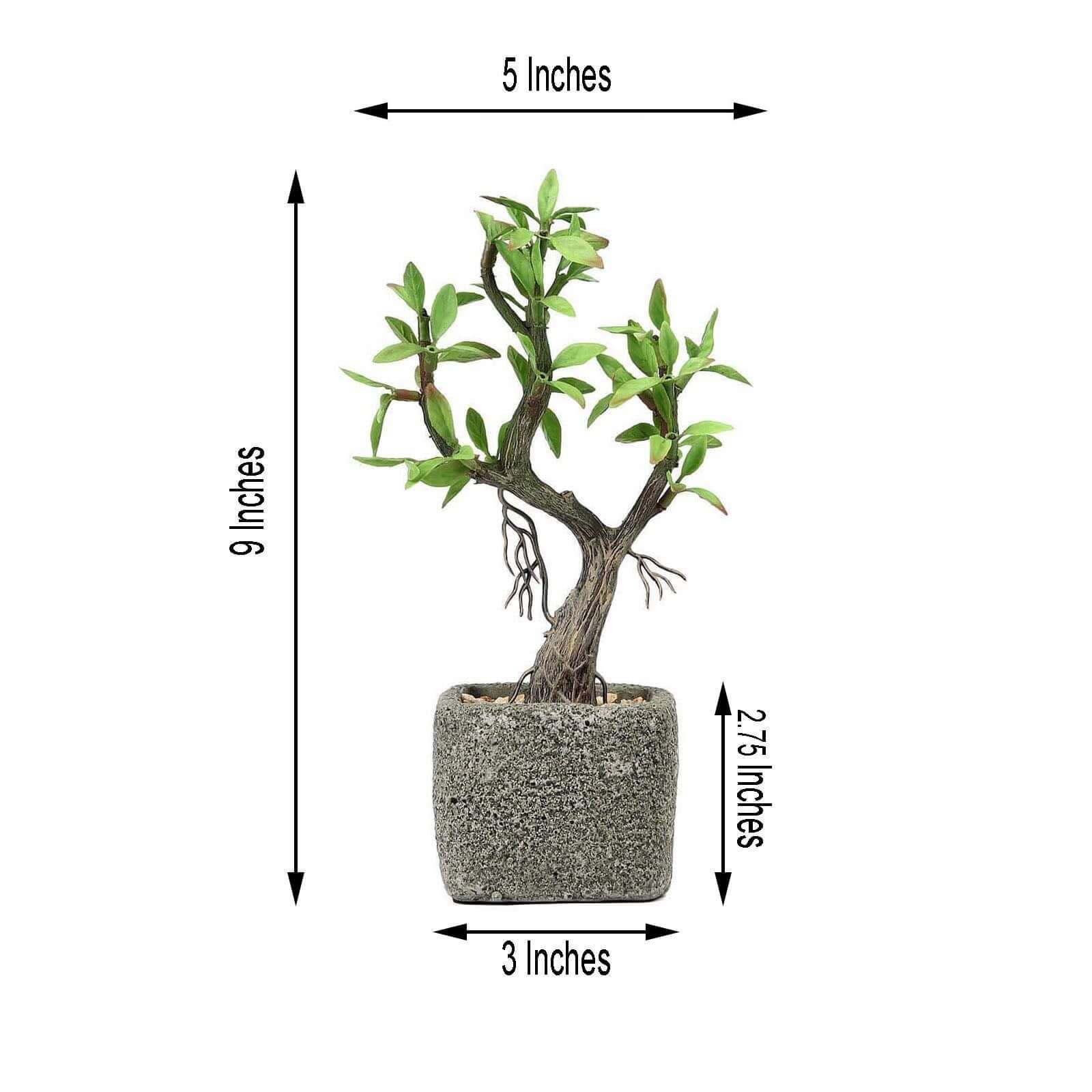 Concrete Planter Pot and Artificial Willow Tree Succulent Plant 9