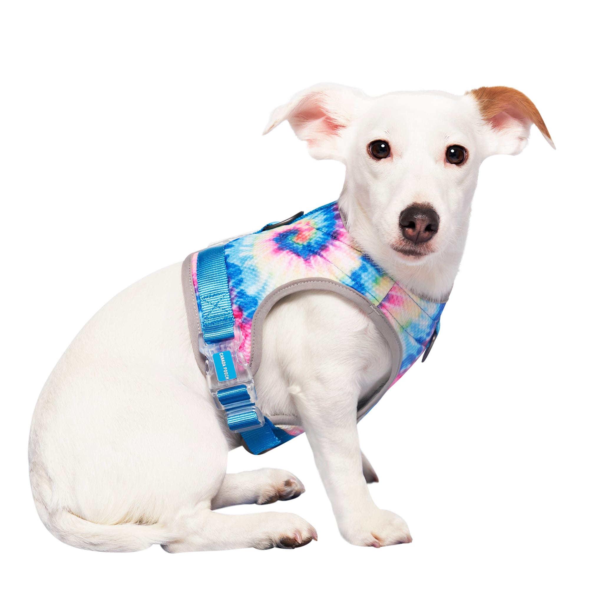 Canada Pooch Chill Seeker Cooling Tie Dye Dog Harness， X-Small