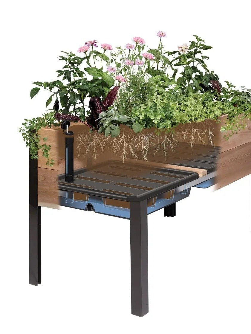 Watering Eco-Stained Elevated Planter Box