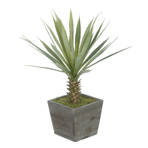 Faux Baby Yucca in Washed Wood Cube Planter