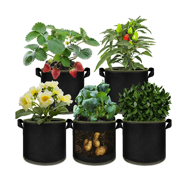 2022 mango fruit protection strawberry grow bags  felt grow bag plant pot for gardening supplies