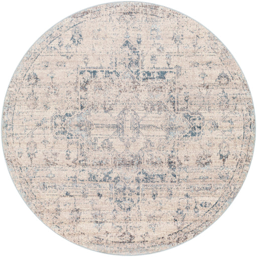 Ankara Distressed Blue Rug