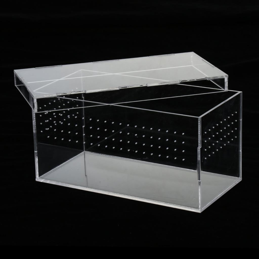 Acrylic Reptile Feeding Tank for Spiders Breeding Box