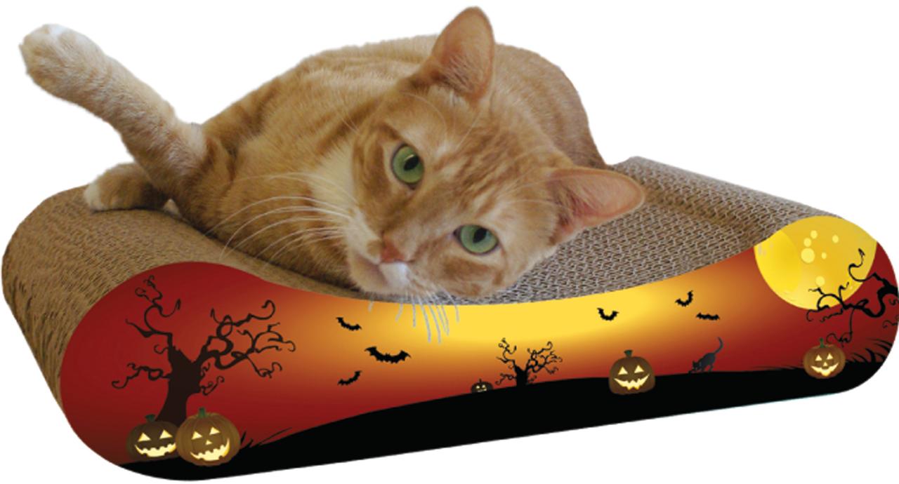 Imperial Cat Scratch 'n Shapes Pumpkin Combo， Squished (2-in-1)