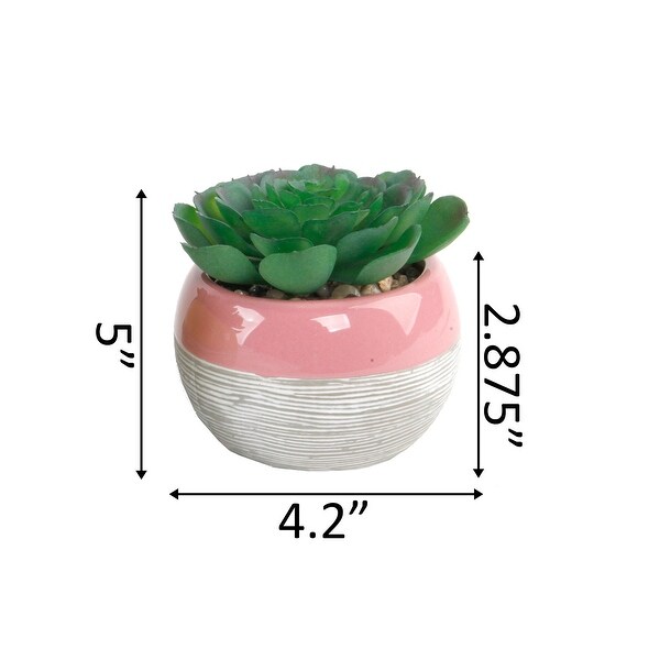 Succulent in Two tone lines pattern ceramic pot ，Teal