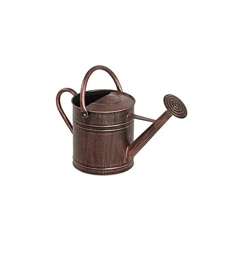 Unique design metal Copper Watering can wholesale made in india for outdoor and indoor plants flowers watering can Home Garden