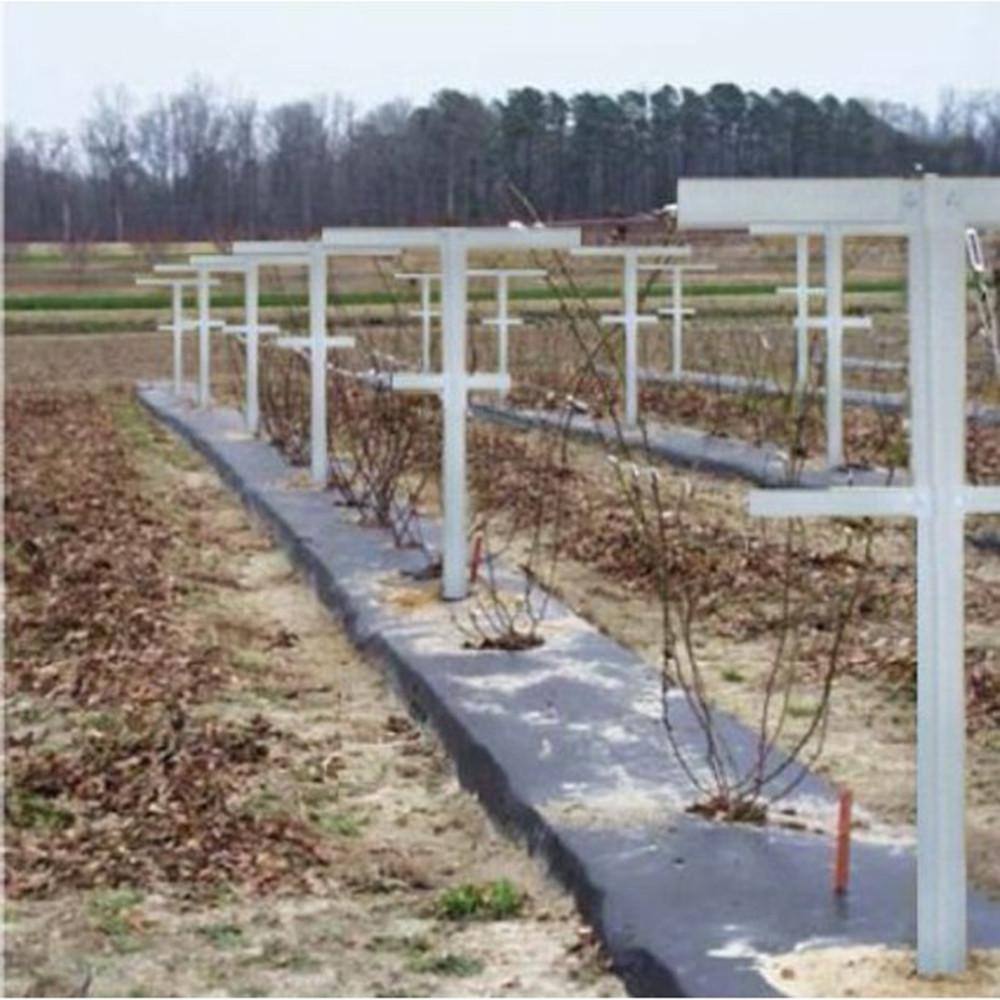 Mr. Garden 7 ft. Raspberry Trellis with Adjustable Arms Raspberry Stake Vineyard Trellis (4-Pack) FRT172W4P