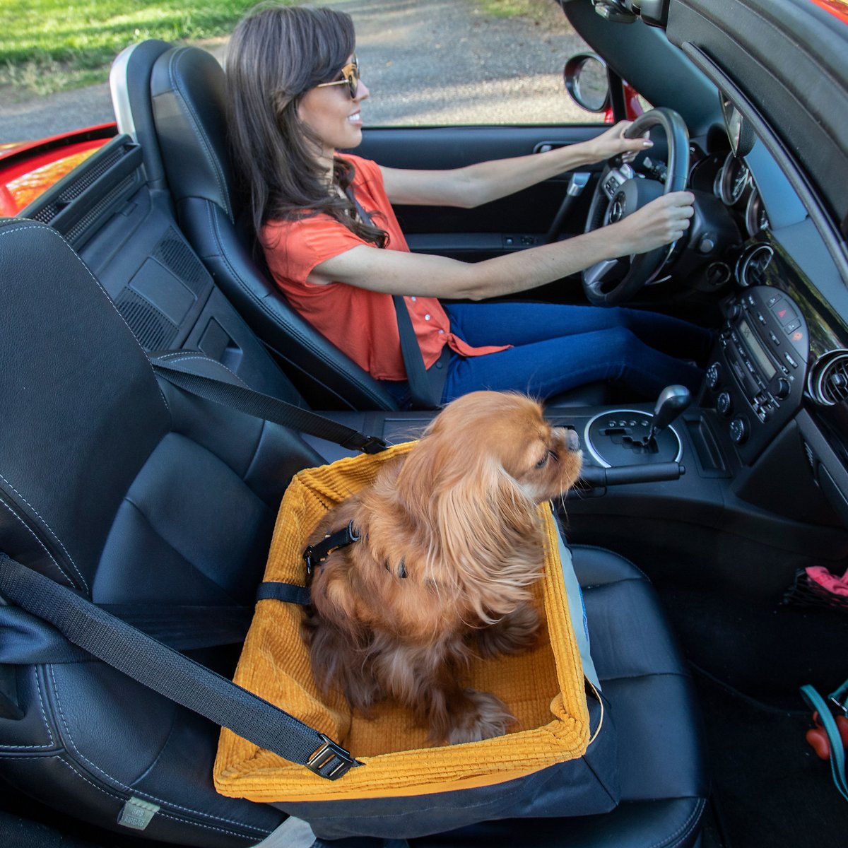 Kurgo Skybox Booster Seat - Pet Car Seats for Small Dogs and Puppies Weighing Under 30 lbs - Headrest Mounted - Dog Car Seat Belt Tether Included - Rover and Skybox Styles ( Black/Orange)