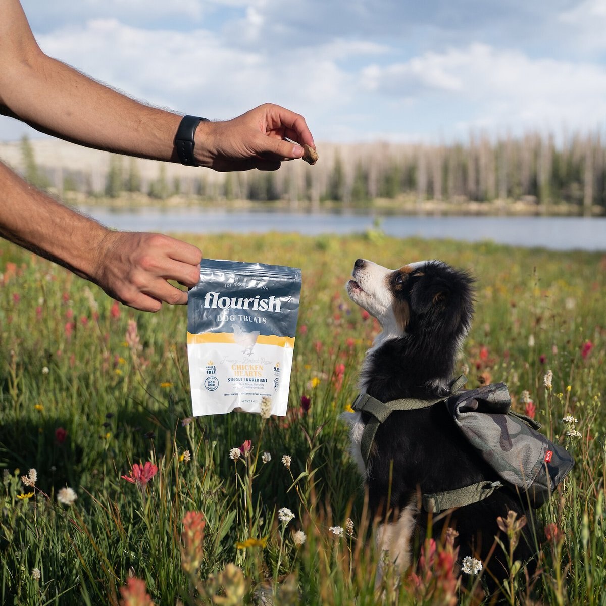 Flourish Chicken Hearts Freeze-Dried Dog Treats