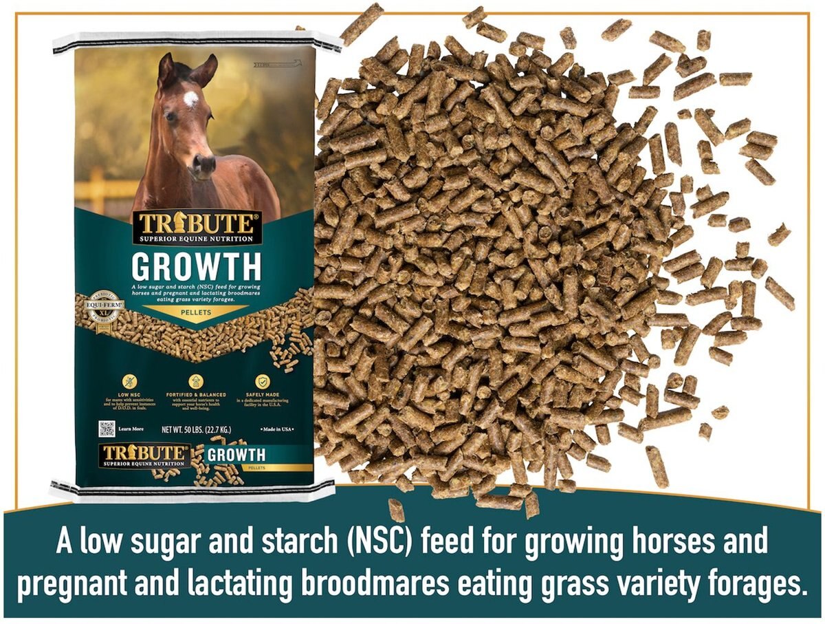 Tribute Equine Nutrition Growth Pellet Low-NSC， Molasses-Free Horse Feed