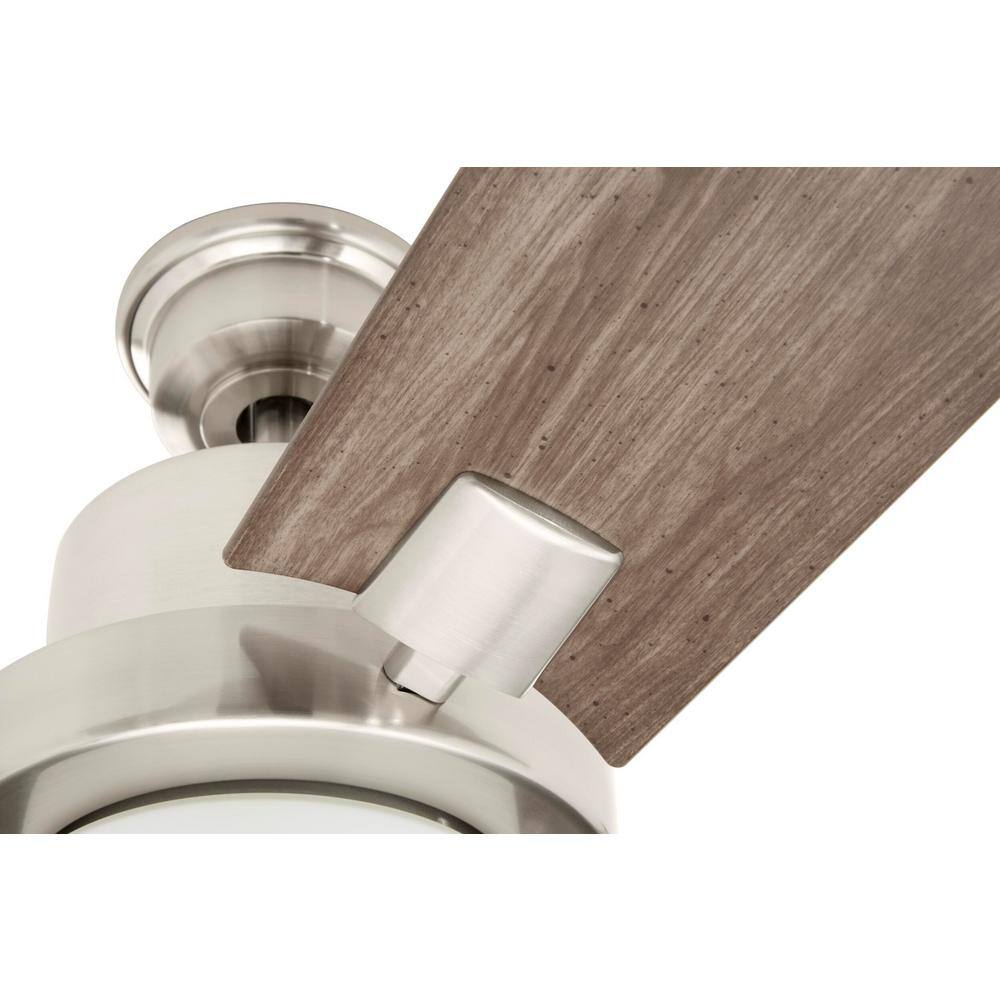 Home Decorators Collection Radley 60 in. LED Brushed Nickel Ceiling Fan with Light AM690-BN