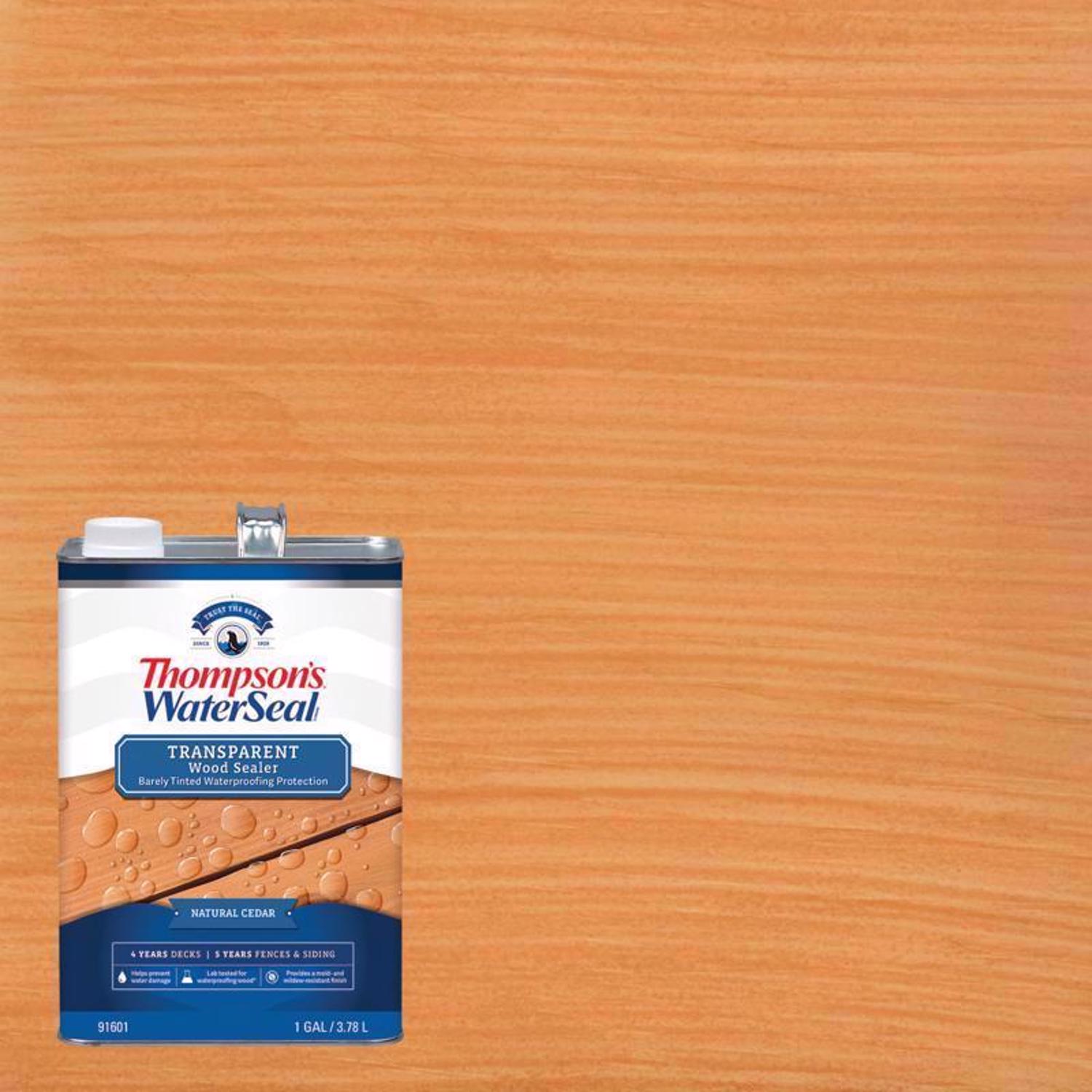 Thompson\u0027s WaterSeal Transparent Natural Cedar Waterproofing Wood Stain and Sealer 1 gal