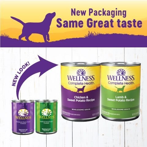 Wellness Complete Health Pate Variety Pack Wet Dog Food， 12.5-oz case of 6