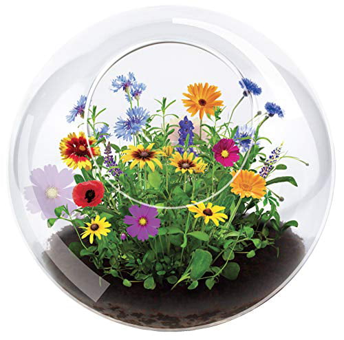 Unique Gardener - Wildflowers and Glass - Indoor Micro-Gardening Kit