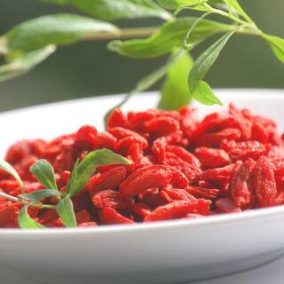 national PLANT NETWORK 3 gal. Goji Berry HD1842