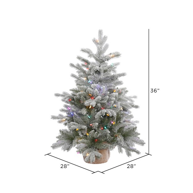 Vickerman Frosted Sable Pine Artificial Christmas Tabletop Tree