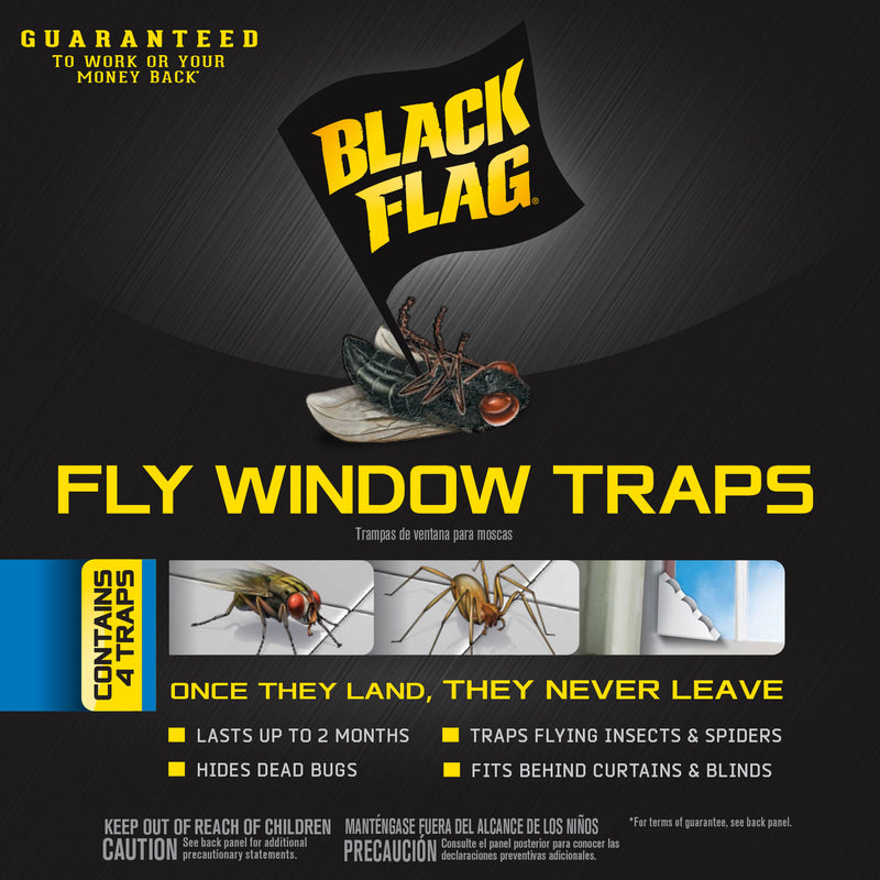 FLY WINDOW TRAP 4PK BF