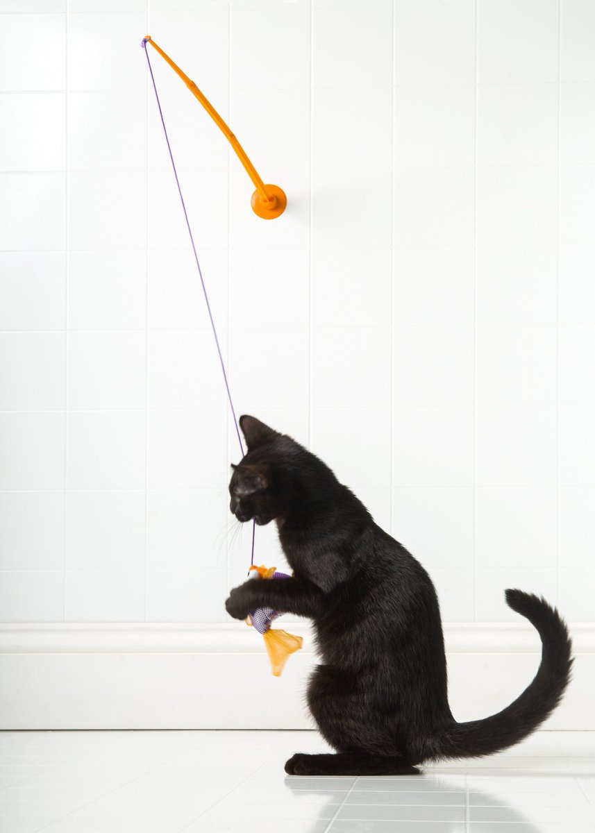 Hartz Just For Cats Gone Fishin' Cat Wand Toy with Catnip， Color Varies