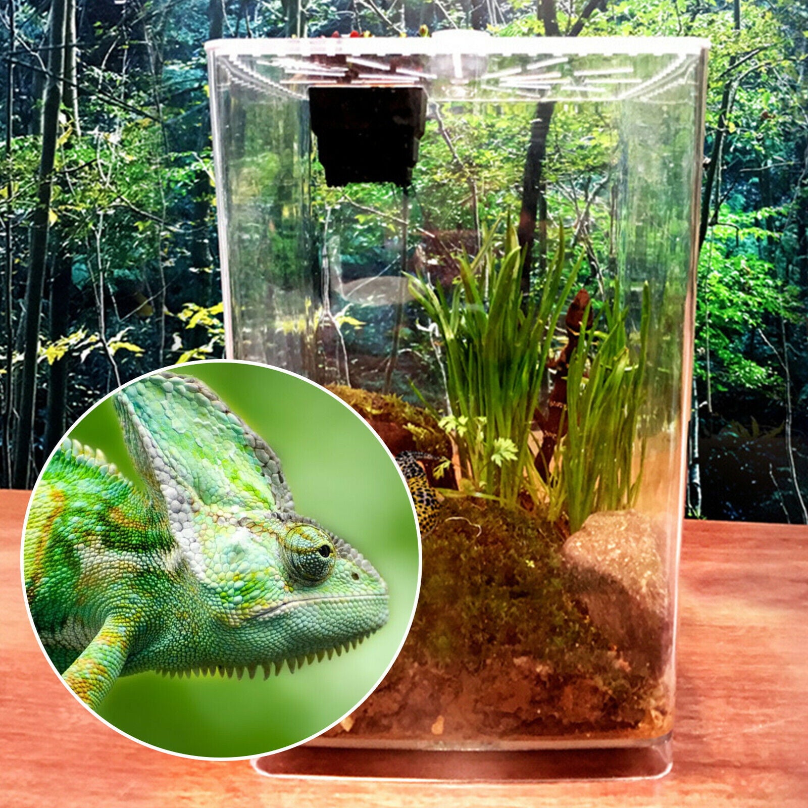 Acrylic Reptile Terrarium Gecko Lizard Spider Vivarium Pet Cage Tank House Acrylic Reptile Terrariums Plant Feeding Tank Lizard Breeding Box Cage Clear Acrylic Reptile Breeding Box Lizard Spider Cage