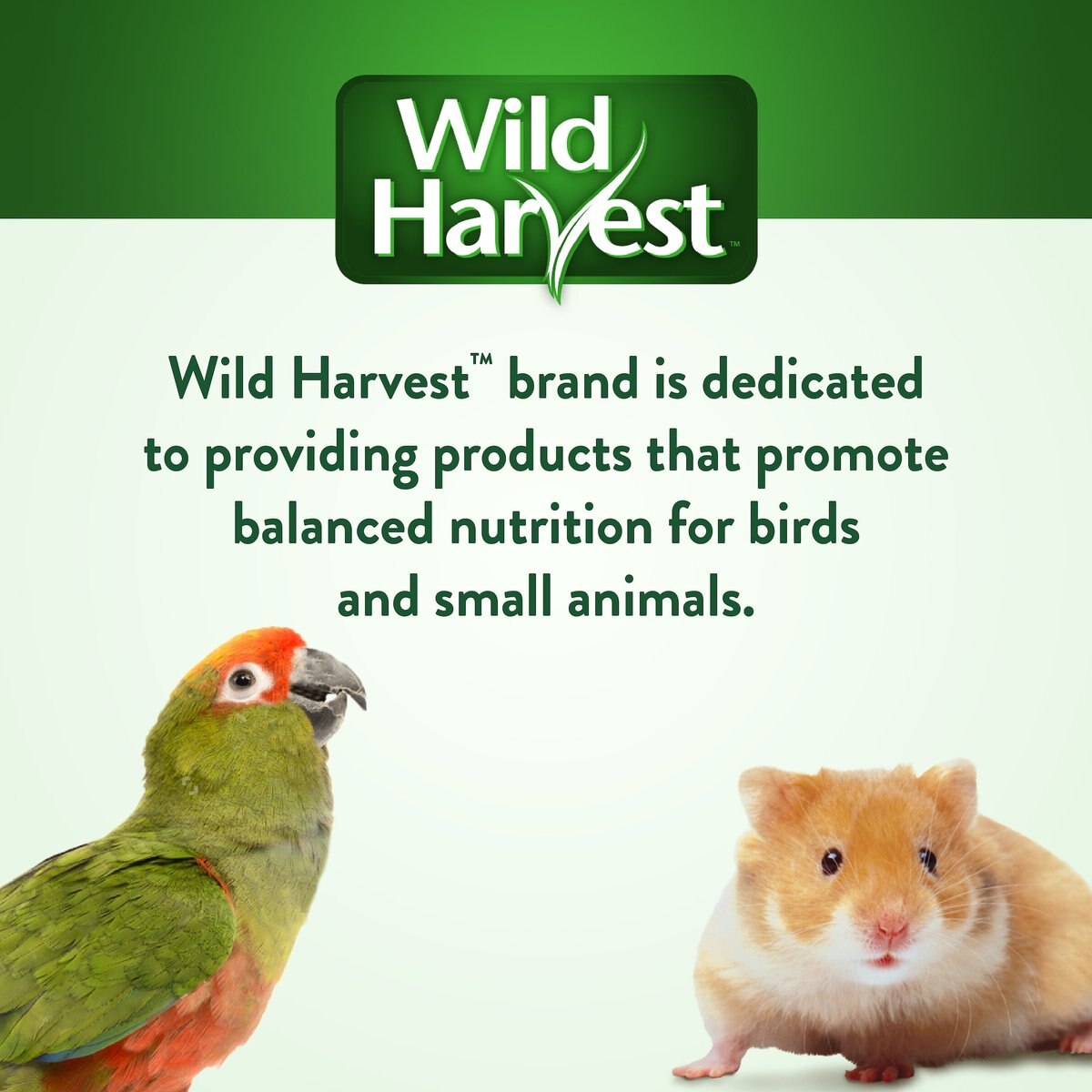 Wild Harvest Universal Blend Fortified Nutrition for Medium and Large Bird Birdfeed， 10-lb