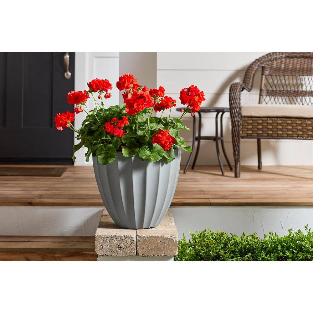 Vigoro 16 in. Mavis Large Gray Scalloped Plastic Planter (16 in. L x 16 in. W x 14 in. H) SP16LGWH