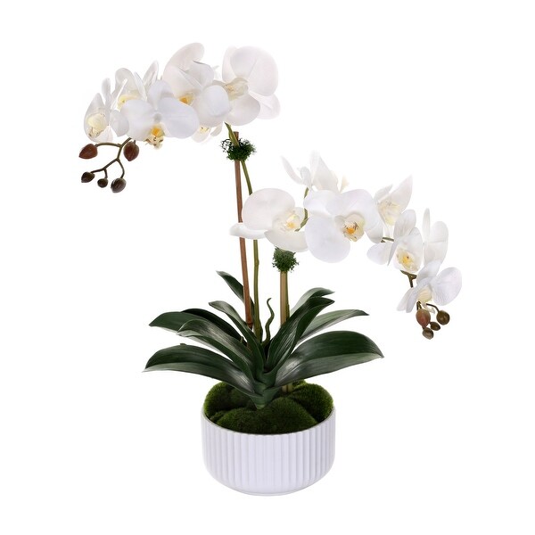 Real Touch Phalaenopsis Orchids in White Ribbed Pot