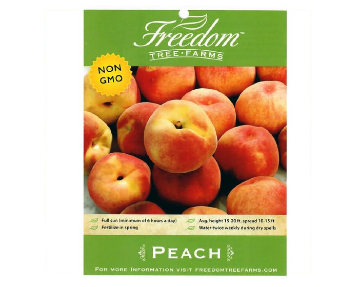 Freedom Tree Farms August Prince Yellow Peach Tree in 5 Gallon Bucket