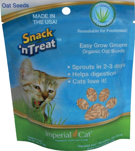 Imperial Cat Easy Grow Cat Oat Grass Seeds， 4-oz bag