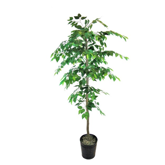 6' Artificial Ficus Tree In Metal Container Green - Lcg