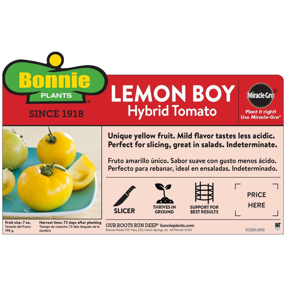 Bonnie Plants 19 oz. Lemon Boy Yellow Tomato Plant 0226